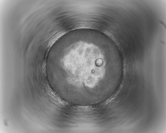 X0000101441121200807281016