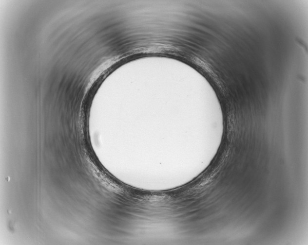 X0000101441122200807281016