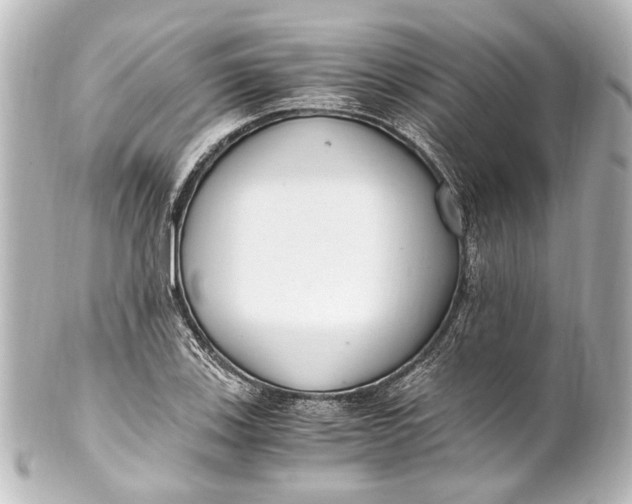 X0000101441123200807281016