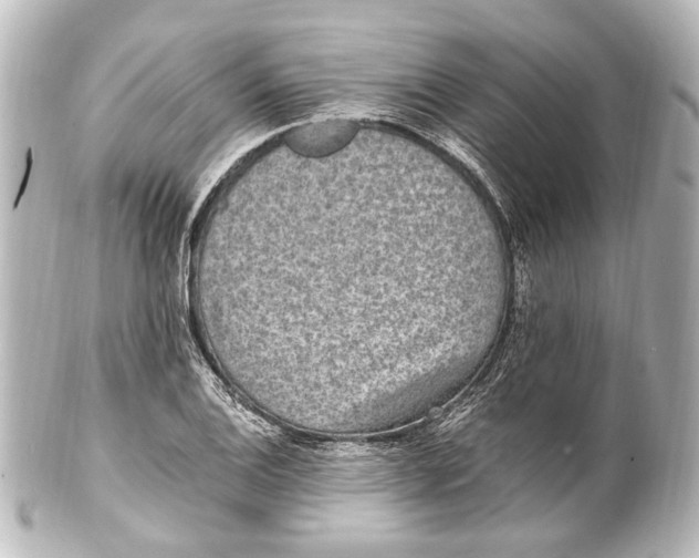 X0000101441124200807281016