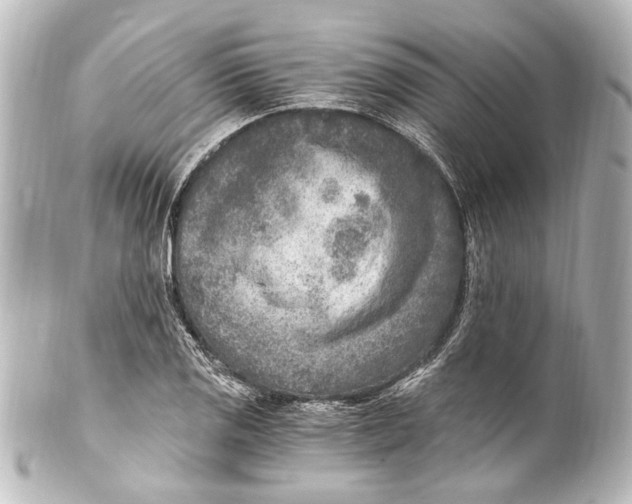 X0000101441125200807281016