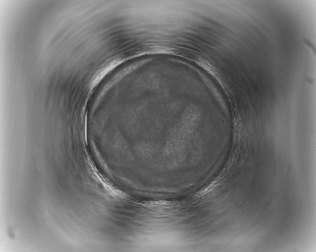 X0000101441127200807281016