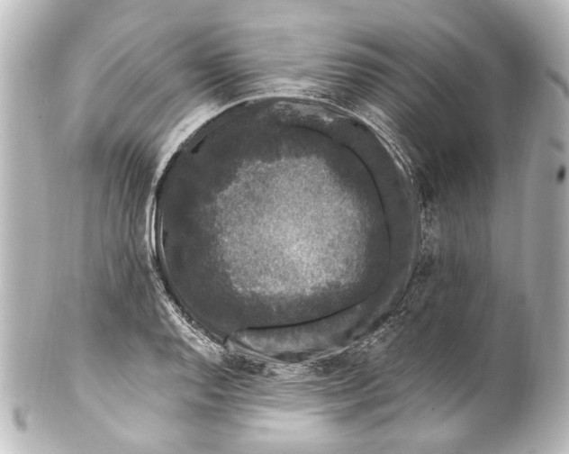 X0000101441128200807281016