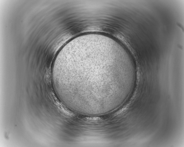 X0000101441129200807281016