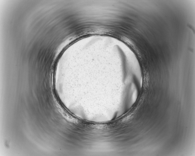 X0000101441130200807281016