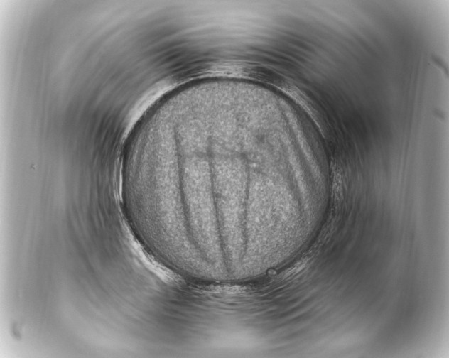 X0000101441131200807281016