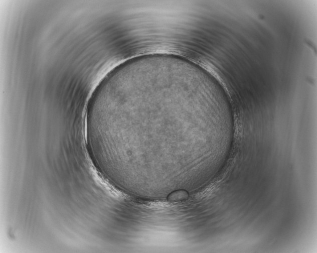 X0000101441132200807281016