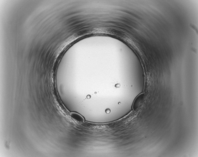 X0000101441133200807281017