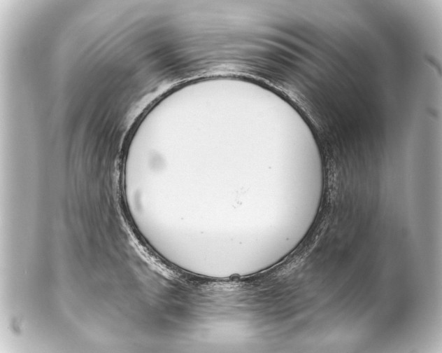 X0000101441134200807281017