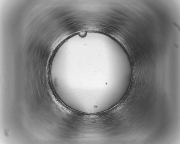 X0000101441135200807281017