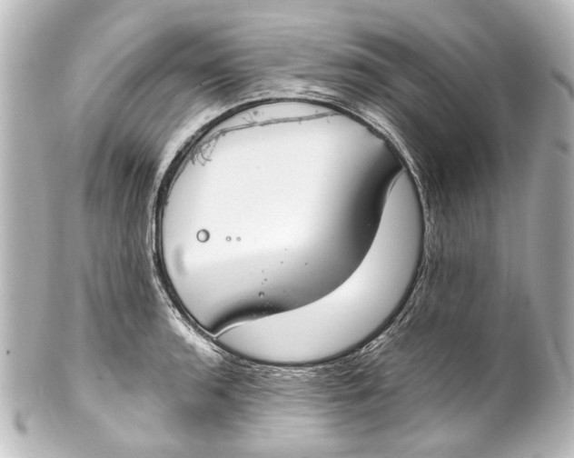 X0000101441136200807281017