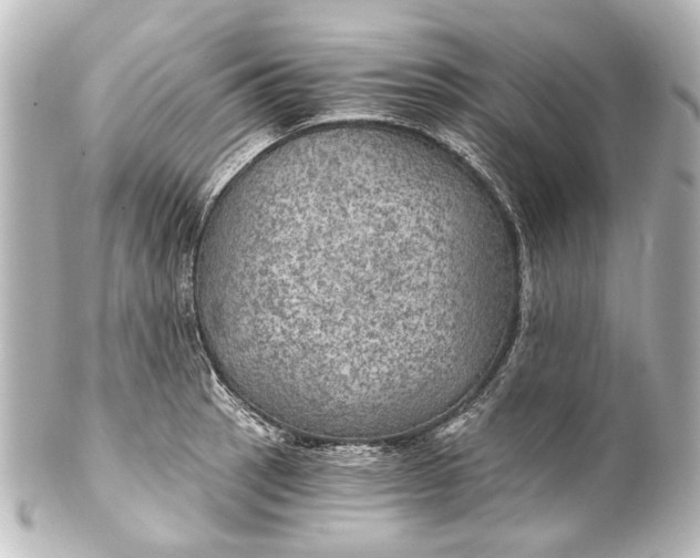 X0000101441137200807281017