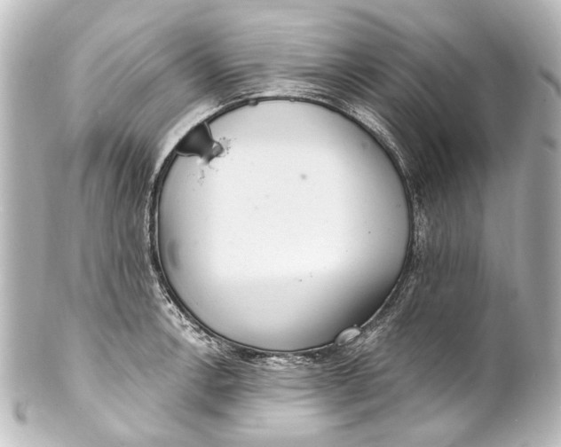 X0000101441138200807281017