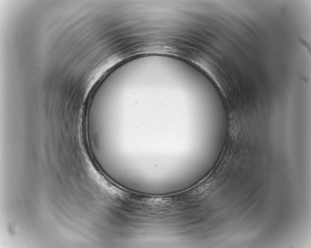 X0000101441139200807281017