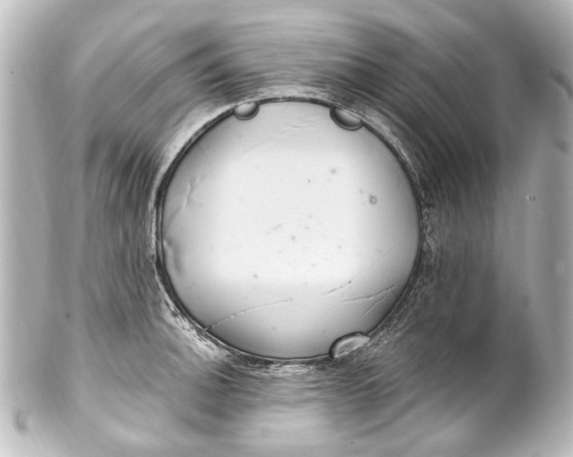 X0000101441140200807281017