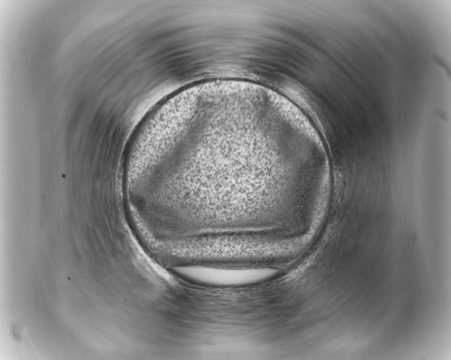 X0000101441141200807281017