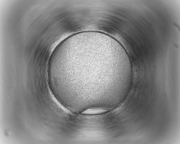 X0000101441142200807281017