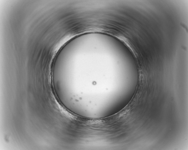 X0000101441143200807281017