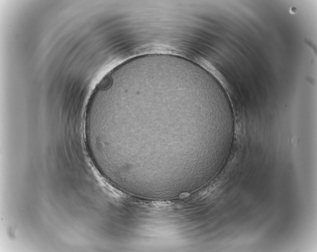 X0000101441144200807281017