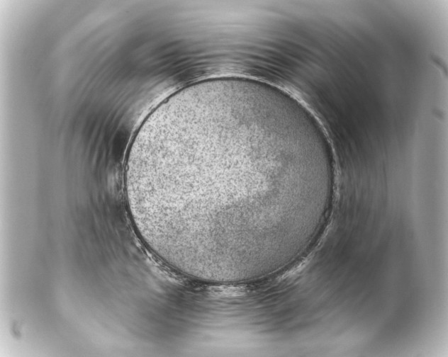 X0000101441145200807281017