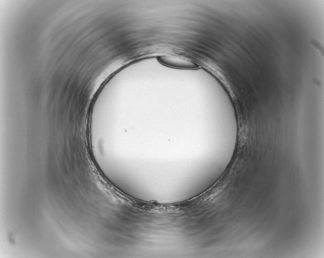 X0000101441146200807281017