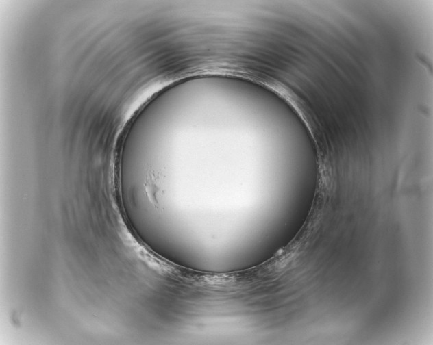 X0000101441147200807281017