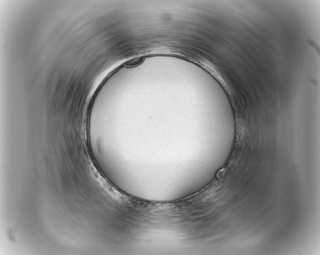 X0000101441148200807281017