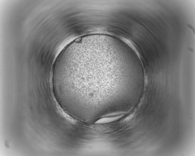 X0000101441149200807281017