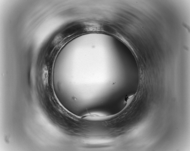 X0000101441151200807281017