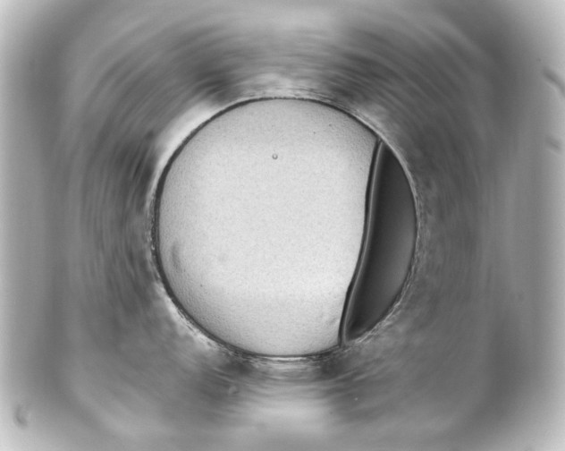 X0000101441152200807281017