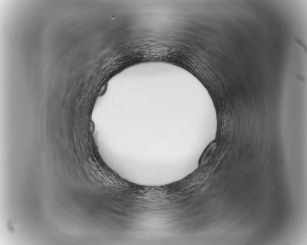 X0000101441153200807281016