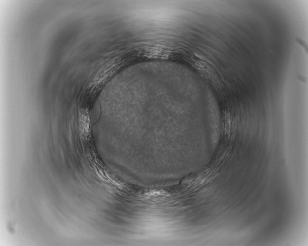 X0000101441154200807281016