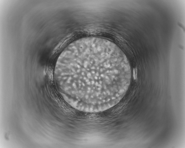 X0000101441155200807281016