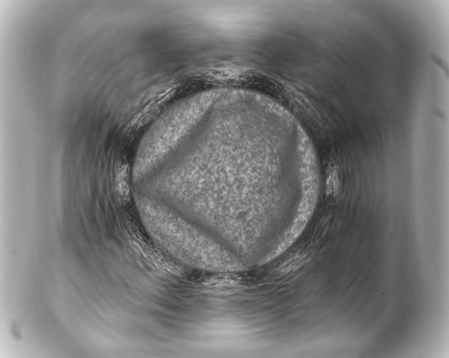 X0000101441156200807281016