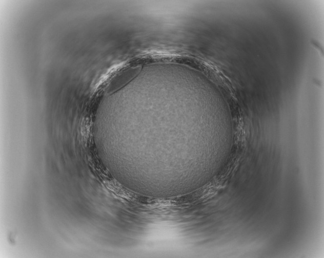 X0000101441157200807281016