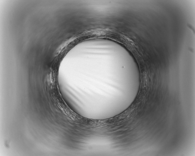 X0000101441158200807281016