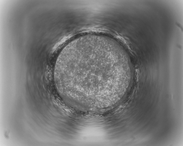 X0000101441159200807281016