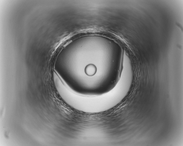 X0000101441160200807281016