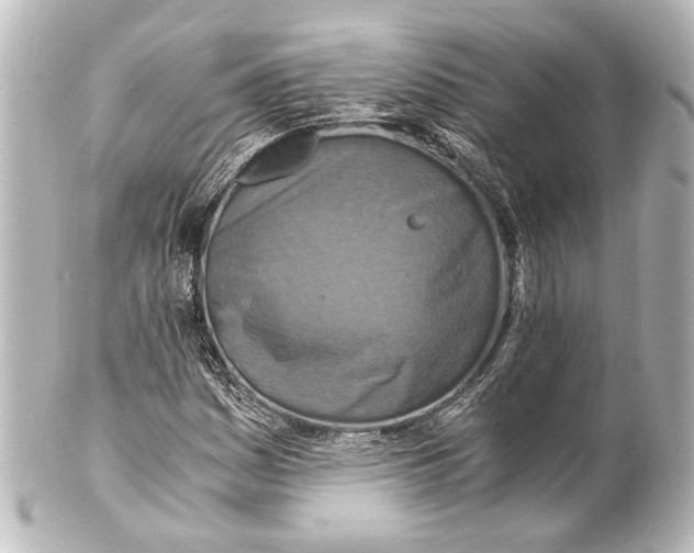 X0000101441161200807281016