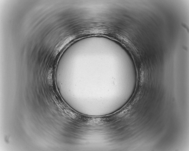 X0000101441162200807281016