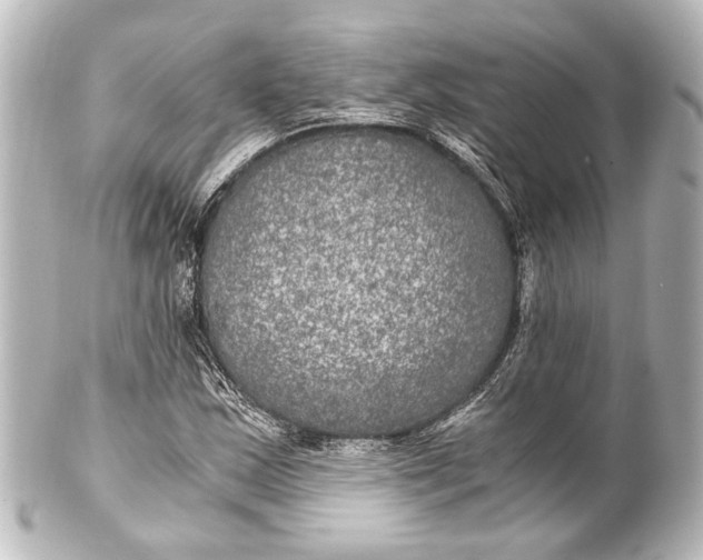 X0000101441163200807281016