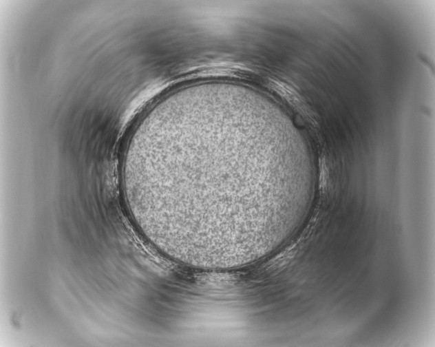 X0000101441164200807281016