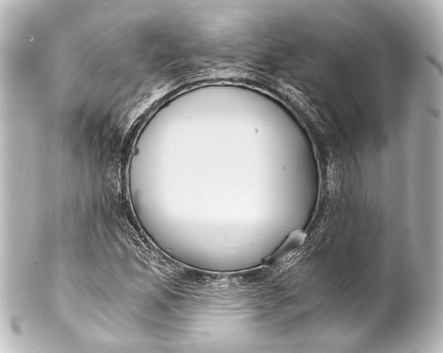 X0000101441165200807281016