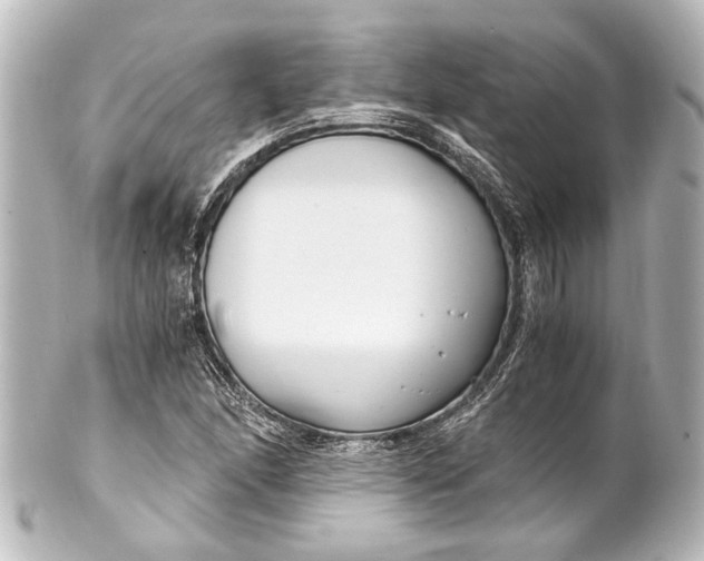 X0000101441166200807281016