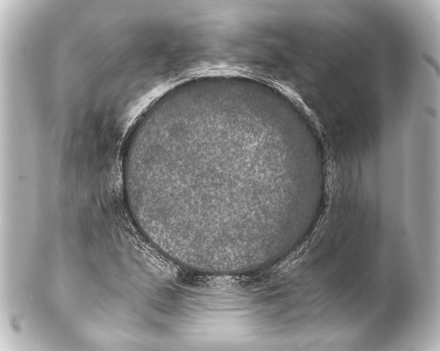 X0000101441167200807281016