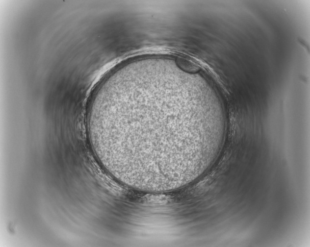 X0000101441168200807281016