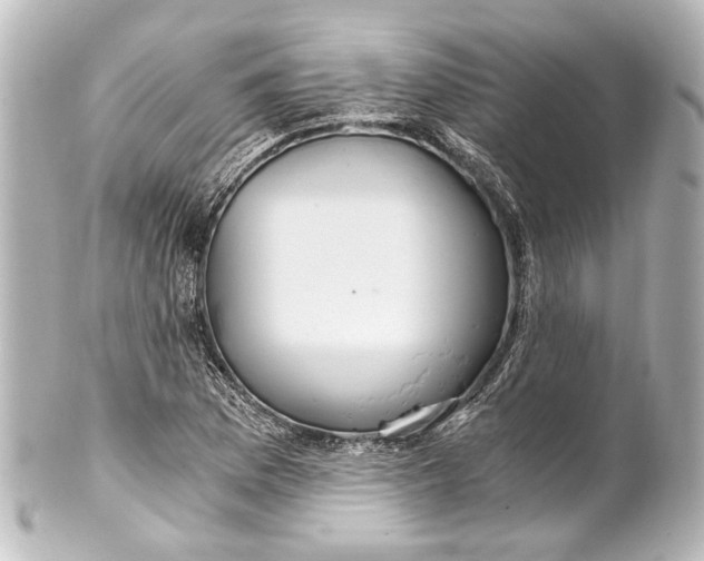 X0000101441169200807281016