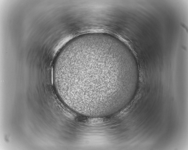 X0000101441171200807281016