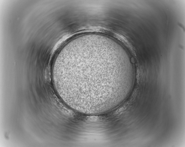 X0000101441172200807281016