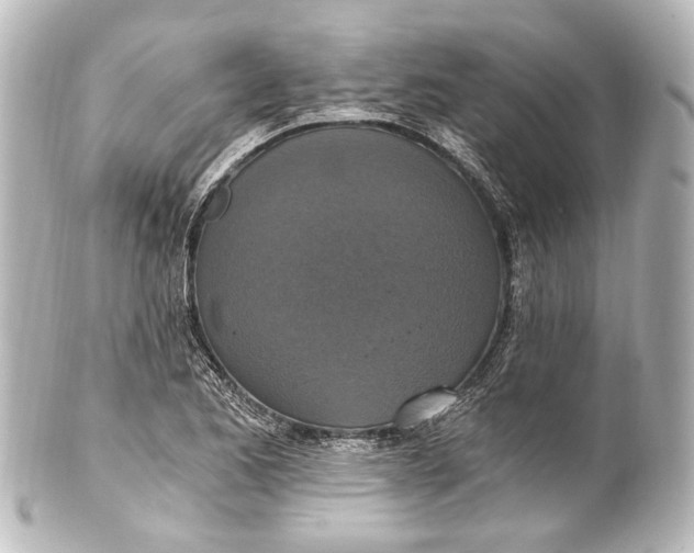 X0000101441173200807281016